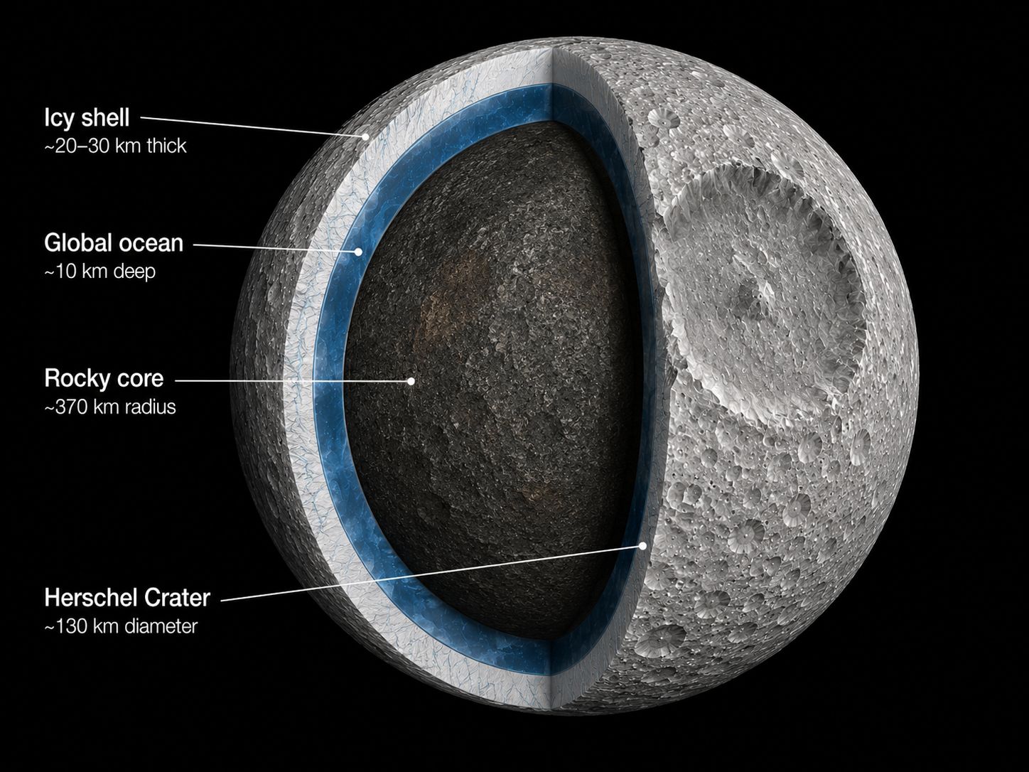 Cutaway diagram of Mimas showing the global ocean hidden under its cratered icy shell