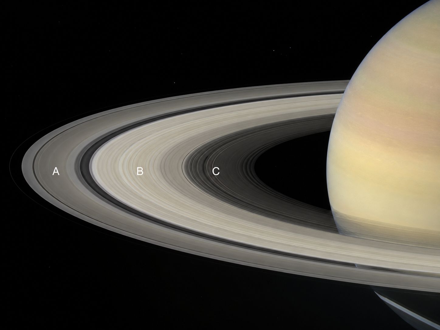 Saturn's bright ring system seen from Cassini, the bands of A, B and C rings clearly visible