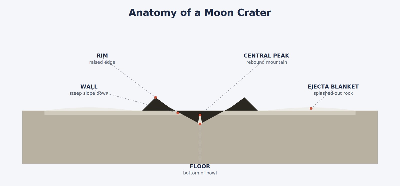 Craters on the Moon for Kids — How They Formed and How to See Them